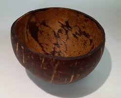 Coconut Shell Bowl (Pack of 2)