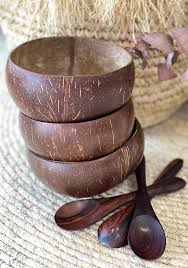 Coconut Shell Bowl (Pack of 2)