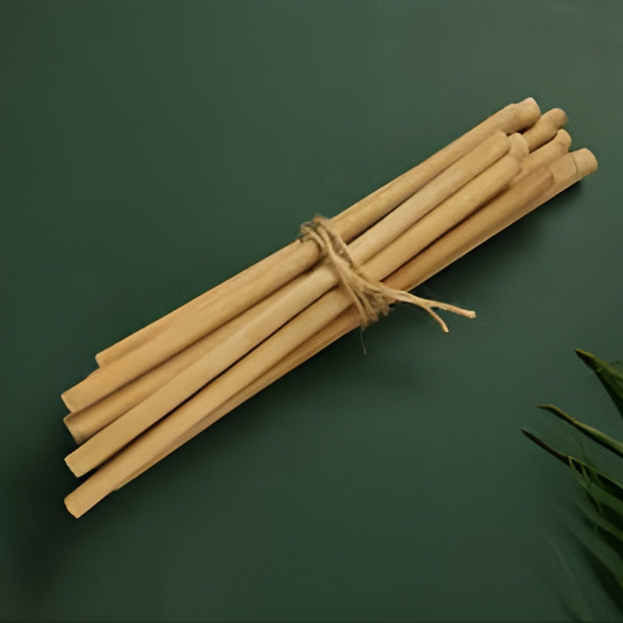 Bamboo Straw (Pack of 4)