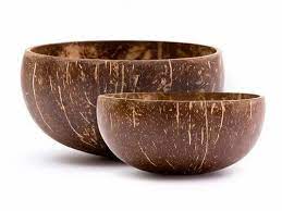 Coconut Shell Bowl (Pack of 2)