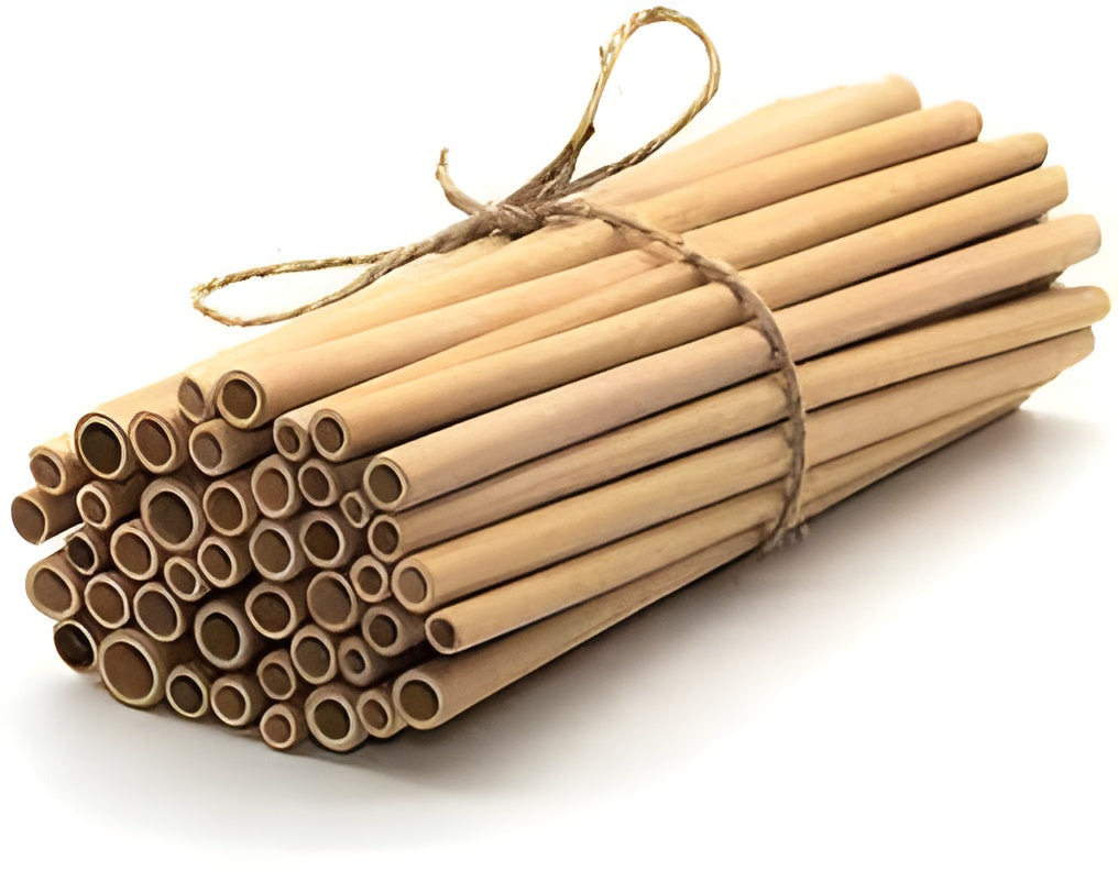 Bamboo Straw (Pack of 4)