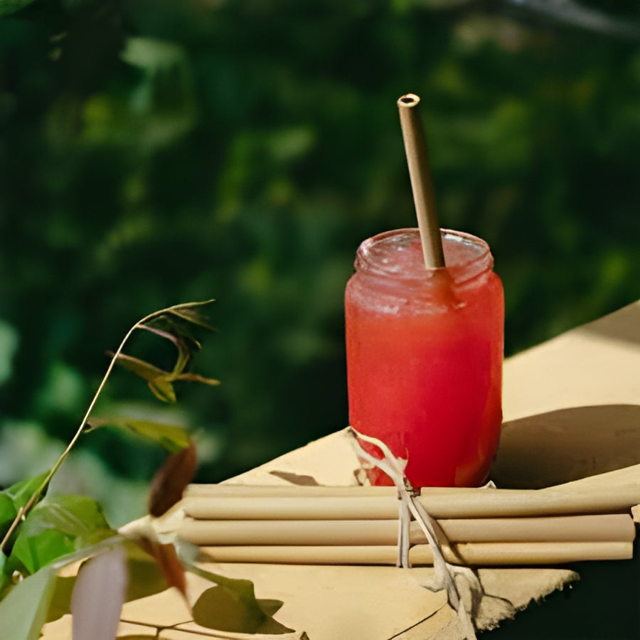 Bamboo Straw (Pack of 4)