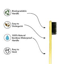 Bamboo Tooth Brush