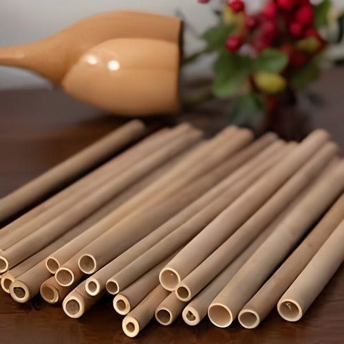 Bamboo Straw (Pack of 4)