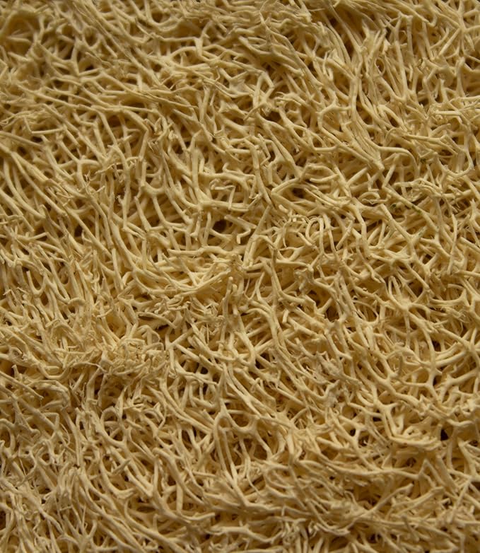 100% Natural Loofah Sponge Set of 3